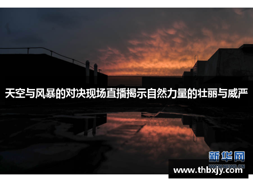 天空与风暴的对决现场直播揭示自然力量的壮丽与威严