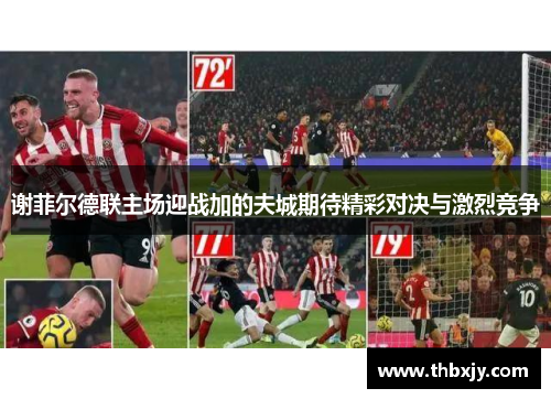 谢菲尔德联主场迎战加的夫城期待精彩对决与激烈竞争