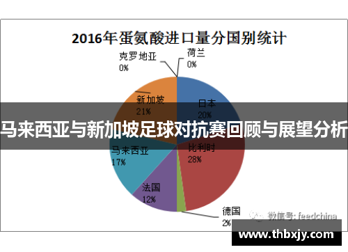 马来西亚与新加坡足球对抗赛回顾与展望分析
