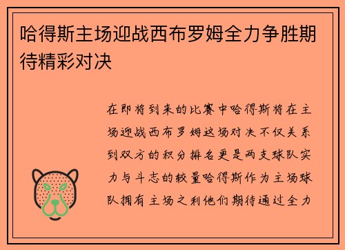 哈得斯主场迎战西布罗姆全力争胜期待精彩对决