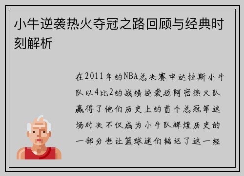 小牛逆袭热火夺冠之路回顾与经典时刻解析