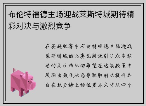 布伦特福德主场迎战莱斯特城期待精彩对决与激烈竞争